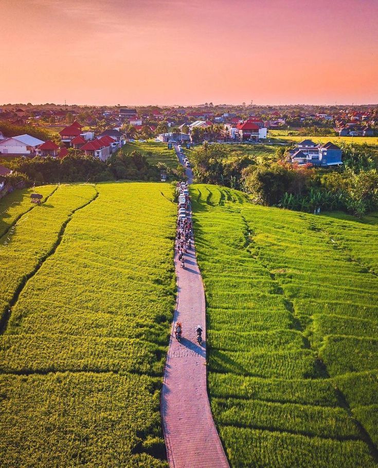 Land value and market performance